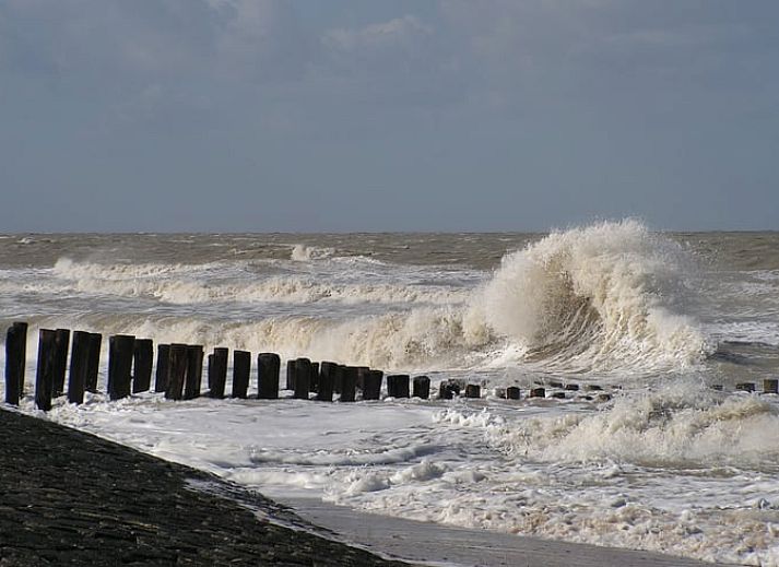Stilvoller Innenraum des Ferienhauses in Schoondijke, Zeeuws-Vlaanderen, mit grossen Fenstern und einer gemuetlichen Sitzecke.