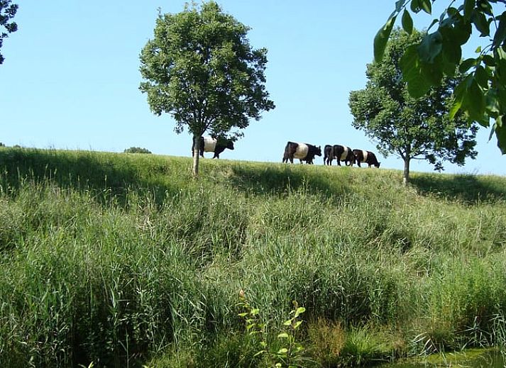 Stilvolles Wohnzimmer des Ferienhauses in Schoondijke, Zeeuws-Vlaanderen, mit moderner Einrichtung und gemuetlicher Sitzecke in Zeeland.