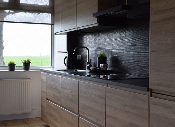 Ferienhaus in Schoondijke mit farbenfrohen Hortensien im Garten, gelegen im malerischen Zeeuws-Vlaanderen, Zeeland.