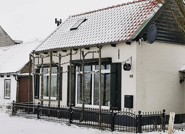 Ferienhaus in Schoondijke mit farbenfrohen Hortensien im Garten, gelegen im malerischen Zeeuws-Vlaanderen, Zeeland.