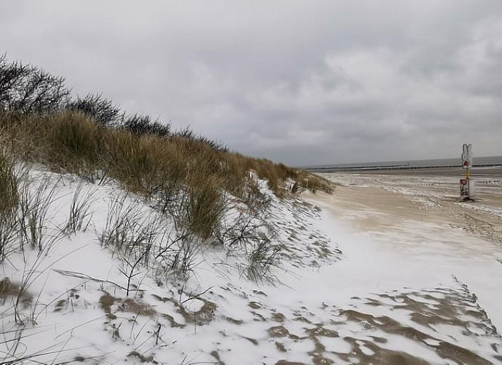 Ferienhaus in Schoondijke mit farbenfrohen Hortensien im Garten, gelegen im malerischen Zeeuws-Vlaanderen, Zeeland.