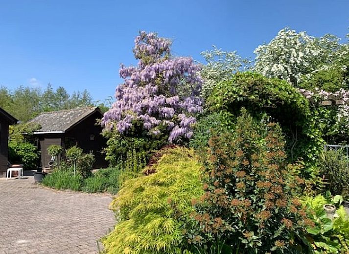 Vorderansicht des Ferienhauses in Aardenburg, Zeeuws-Vlaanderen, ein charmantes Ferienhaus in Zeeland.