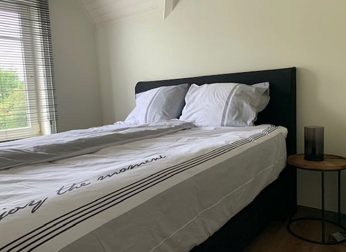 Der bluehende Garten des Ferienhauses in Aardenburg, Zeeuws-Vlaanderen, bietet Ruhe und Natur in Zeeland.