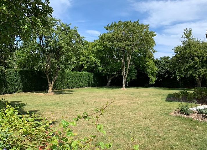 Geniet van het uitzicht vanaf het terras van Vakantiehuisje in Aardenburg, Zeeuws-Vlaanderen, omringd door weelderige natuur.