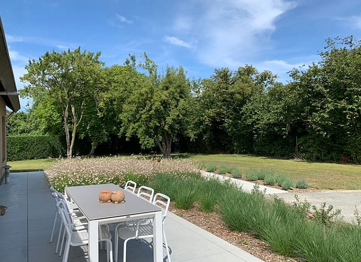 Geniet van het uitzicht vanaf het terras van Vakantiehuisje in Aardenburg, Zeeuws-Vlaanderen, omringd door weelderige natuur.