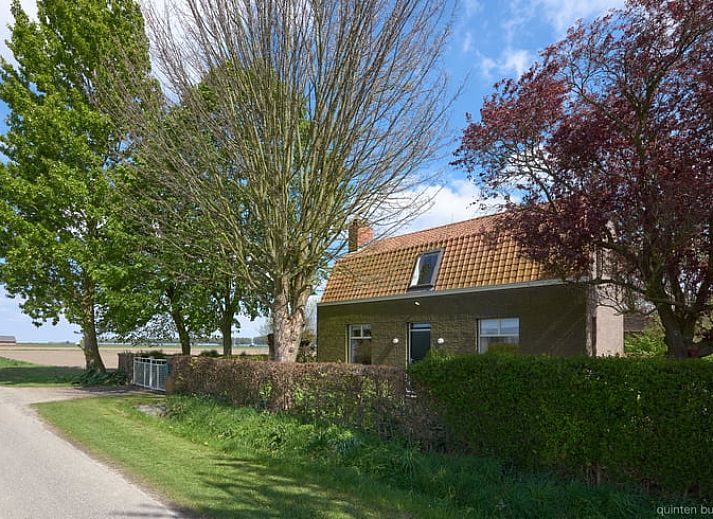 Guest house 631103 • Holiday property Zeeuws-Vlaanderen • Vakantiehuisje in Graauw