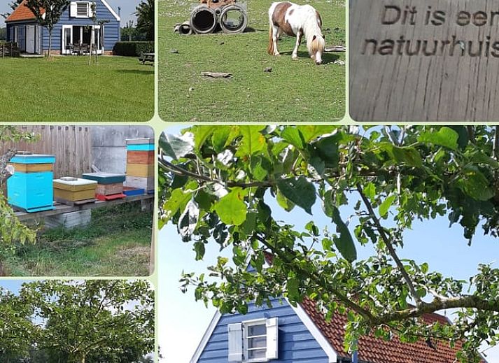 Guest house 631305 - Holiday property Zeeuws-Vlaanderen - Vakantiehuis in Sluis