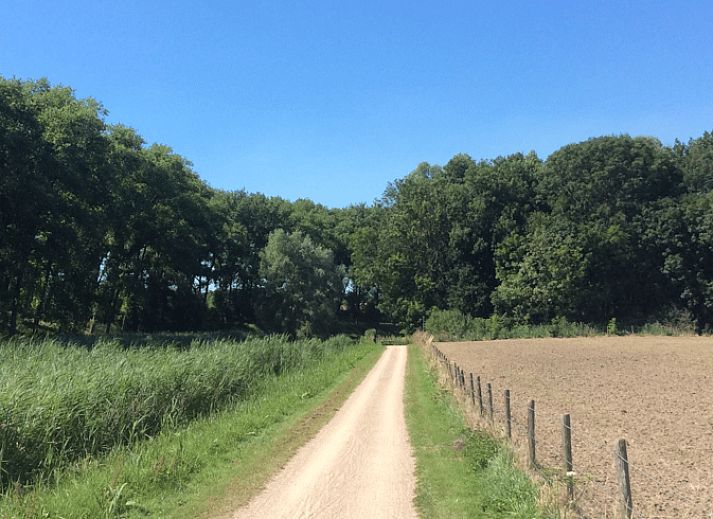 Guest house 631305 - Holiday property Zeeuws-Vlaanderen - Vakantiehuis in Sluis