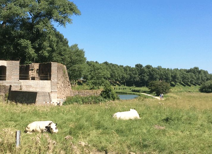 Guest house 631305 - Holiday property Zeeuws-Vlaanderen - Vakantiehuis in Sluis