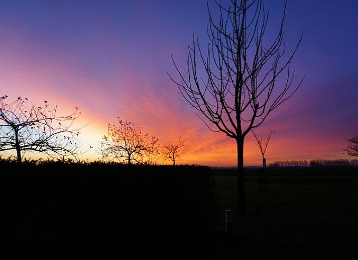 Guest house 631305 - Holiday property Zeeuws-Vlaanderen - Vakantiehuis in Sluis