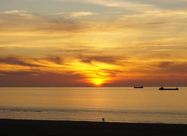 Guest house 631305 - Holiday property Zeeuws-Vlaanderen - Vakantiehuis in Sluis