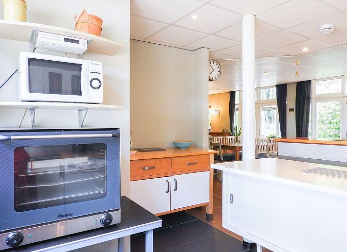 VZ039 Groepsaccommodatie Sluis, achtertuin met zonnige veranda en groene bomen.