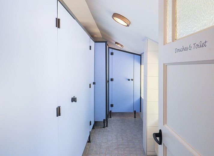 VZ039 Groepsaccommodatie Sluis, achtertuin met zonnige veranda en groene bomen.