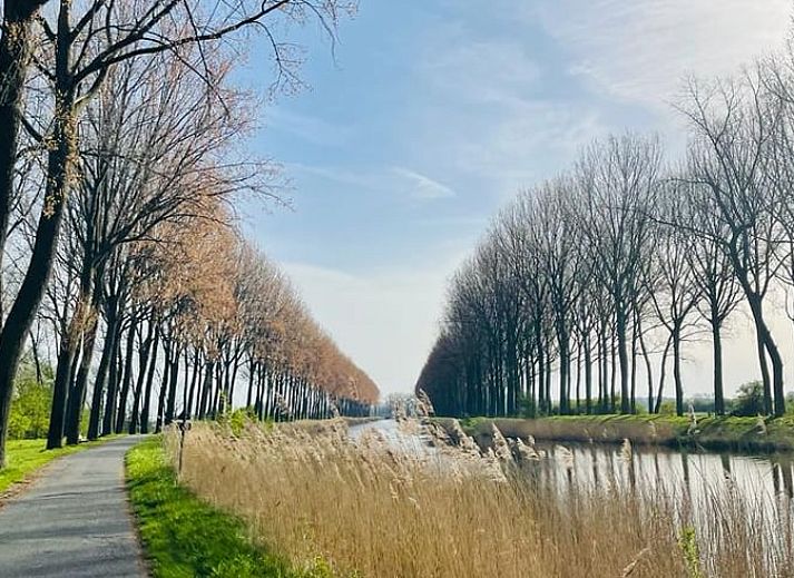 Guest house 631307 - Holiday property Zeeuws-Vlaanderen - Huisje in Sluis