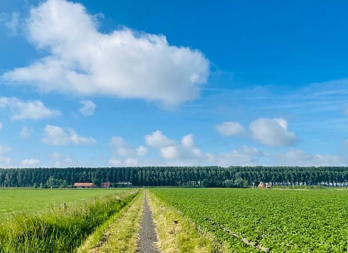 Guest house 631307 - Holiday property Zeeuws-Vlaanderen - Huisje in Sluis