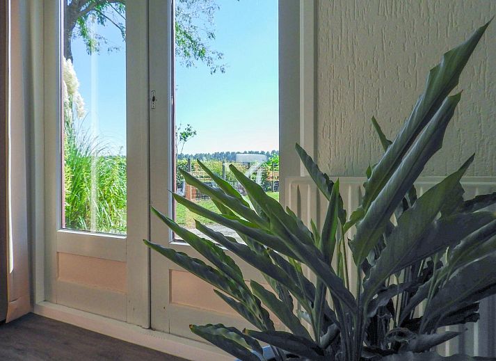 Guest house 631309 - Holiday property Zeeuws-Vlaanderen - VZ550 Vakantievilla Eede (gemeente Sluis)