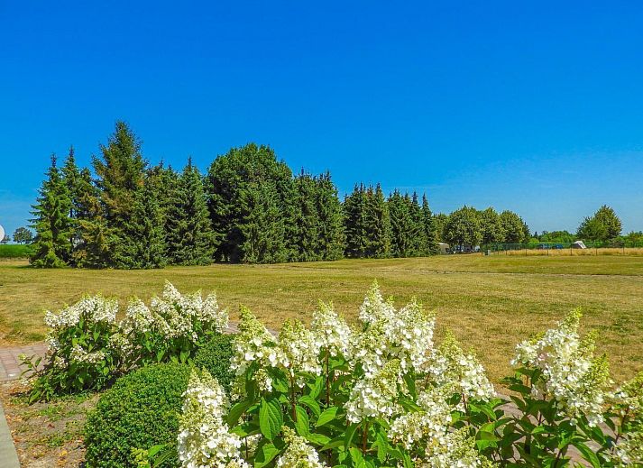 Guest house 631311 - Holiday property Zeeuws-Vlaanderen - VZ206 Vakantiehuisje Sluis