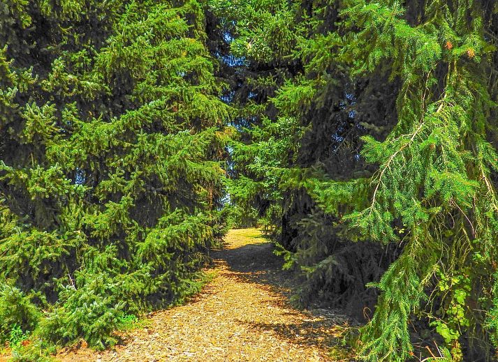 Guest house 631311 - Holiday property Zeeuws-Vlaanderen - VZ206 Vakantiehuisje Sluis