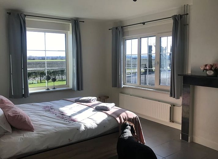 Guest house 631313 - Holiday property Zeeuws-Vlaanderen - Vakantiehuis in Sluis