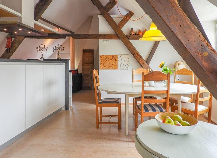 Path through the garden of VZ052 Apartment Sluis in Sluis, Zeeuws-Vlaanderen, surrounded by nature.