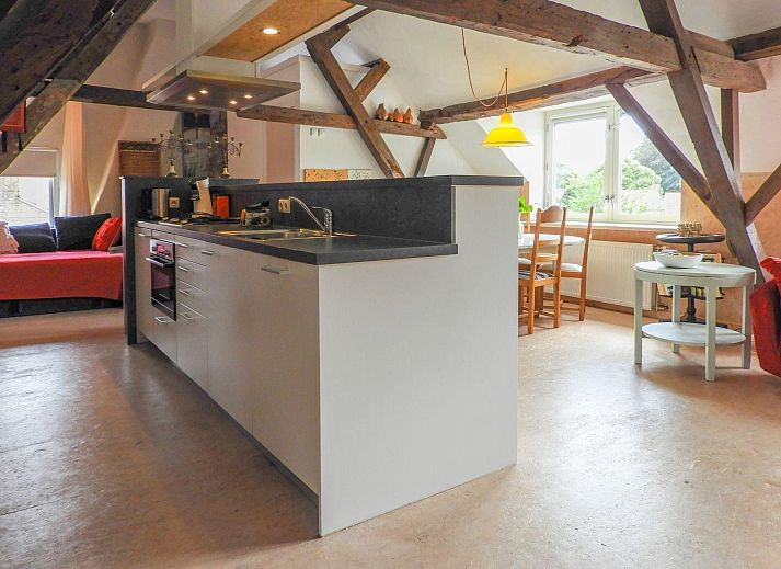 Path through the garden of VZ052 Apartment Sluis in Sluis, Zeeuws-Vlaanderen, surrounded by nature.