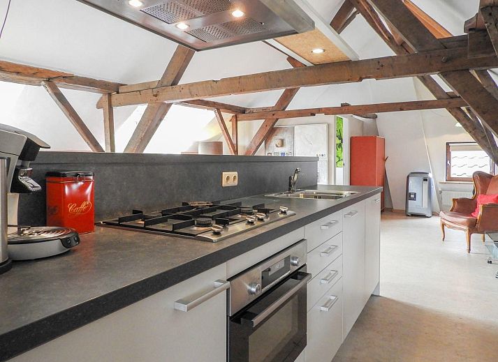 Path through the garden of VZ052 Apartment Sluis in Sluis, Zeeuws-Vlaanderen, surrounded by nature.