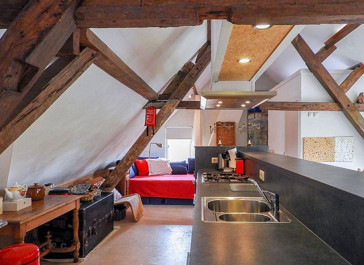 Path through the garden of VZ052 Apartment Sluis in Sluis, Zeeuws-Vlaanderen, surrounded by nature.