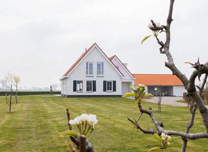 Unterkunft 631405 - Ferienhaus Zeeuws-Vlaanderen - Belvedere Groede