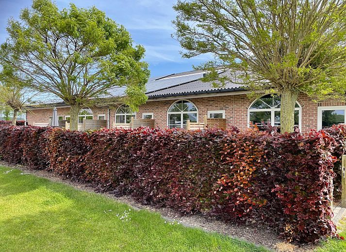 Unterkunft 631425 - Appartement Zeeuws-Vlaanderen - Het Platte Putje - Huisdiervrij - nr3