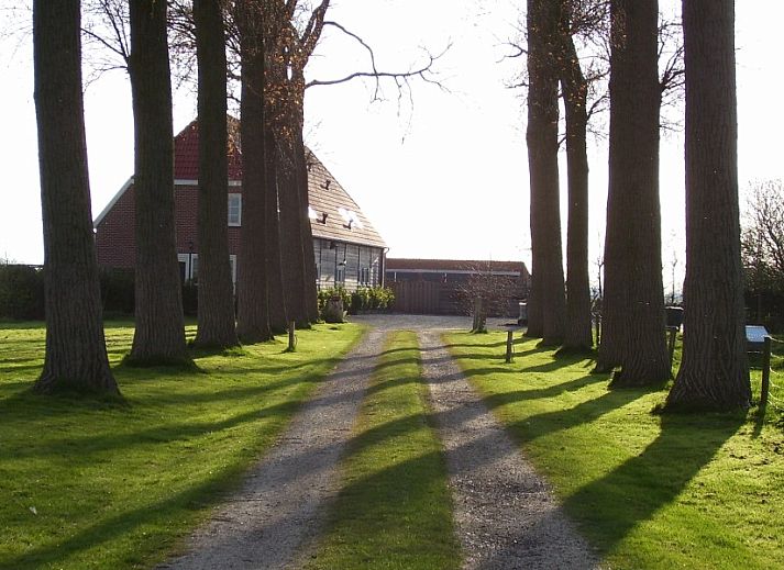 Boerderijverblijf Soncy in Groede, Zeeuws-Vlaanderen biedt een charmant vakantiehuis met een uitnodigende veranda en landelijke sfeer.