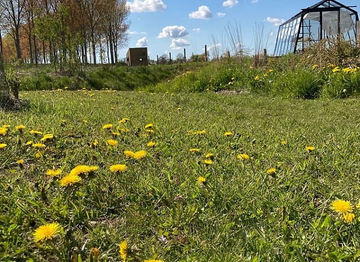 Gezellige eetruimte van Vakantiehuis in Philippine met uitzicht op de groene omgeving in Zeeland.