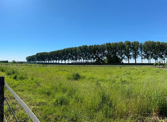 Guest house 631505 - Holiday property Zeeuws-Vlaanderen - Huisje in Philippine