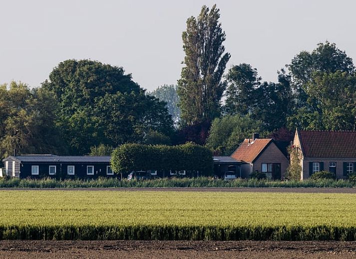 Unterkunft 631609 - Ferienhaus Zeeuws-Vlaanderen - Huisje in Nieuwvliet