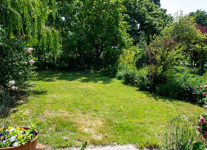 Unterkunft 631613 - Ferienhaus Zeeuws-Vlaanderen - Vakantiehuis in Nieuwvliet