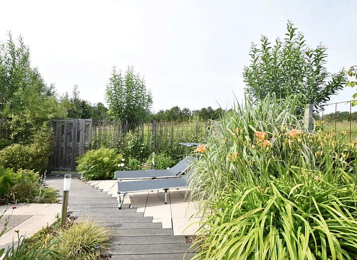 Verblijf 631647 - Vakantiewoning Zeeuws-Vlaanderen - Duinzicht II