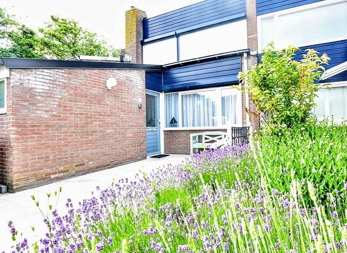 Verblijf 631647 - Vakantiewoning Zeeuws-Vlaanderen - Duinzicht II