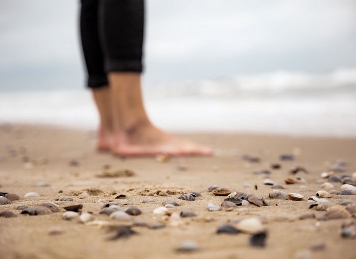 Guest house 631650 - Holiday property Zeeuws-Vlaanderen - Vakantiehuis NV 10 - Beach Resort Nieuwvliet Bad