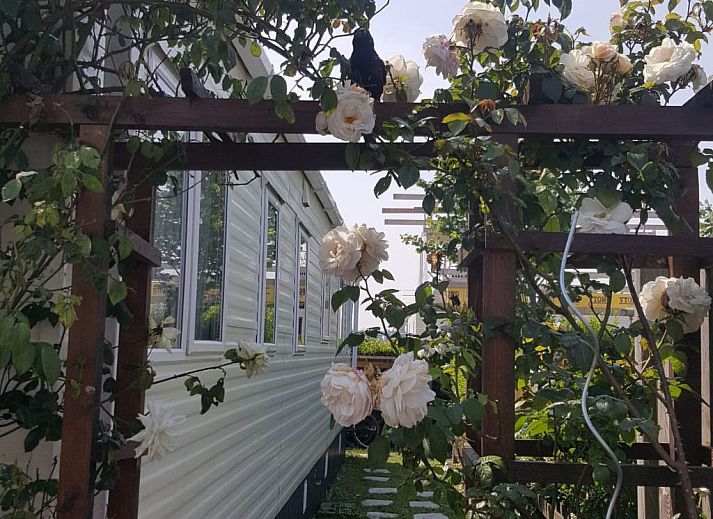 Unterkunft 631651 - Ferienhaus Zeeuws-Vlaanderen - Vakantiehuis NV 102 - Beach Resort Nieuwvliet Bad