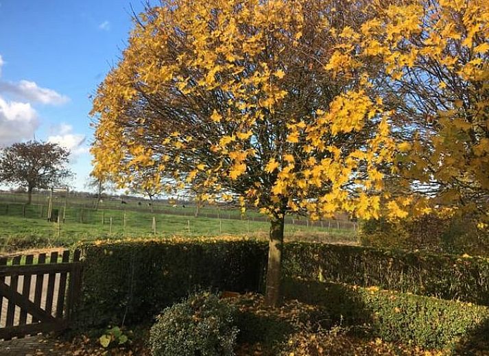 Unterkunft 631807 - Ferienhaus Zeeuws-Vlaanderen - Vakantiehuis in Eede