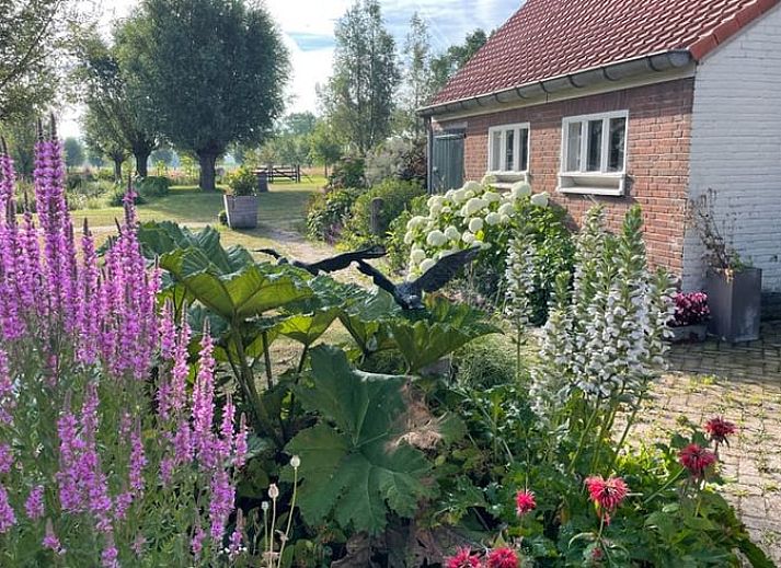 Unterkunft 631807 - Ferienhaus Zeeuws-Vlaanderen - Vakantiehuis in Eede
