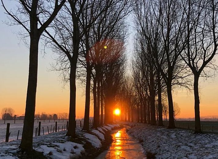 Unterkunft 631807 - Ferienhaus Zeeuws-Vlaanderen - Vakantiehuis in Eede