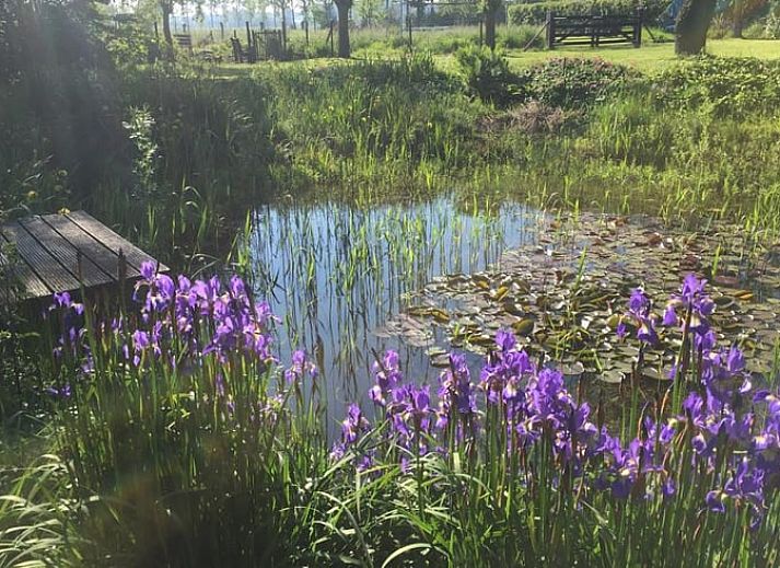Unterkunft 631807 - Ferienhaus Zeeuws-Vlaanderen - Vakantiehuis in Eede
