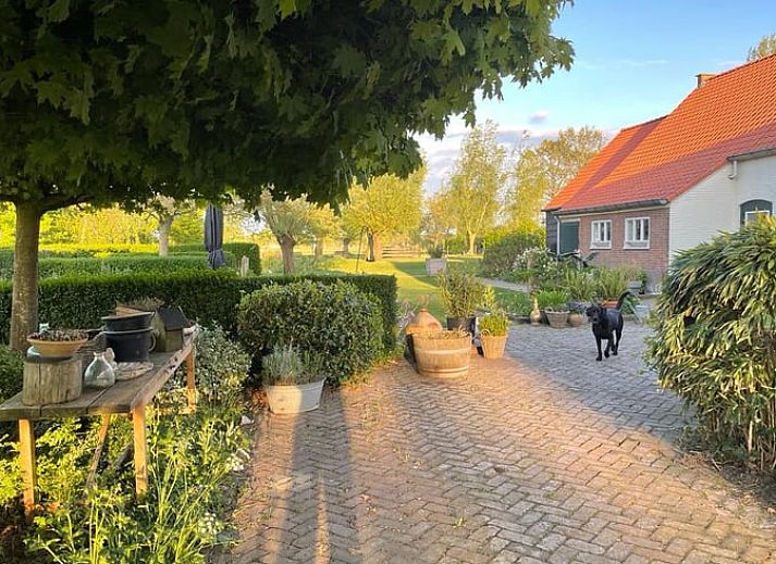 Unterkunft 631807 - Ferienhaus Zeeuws-Vlaanderen - Vakantiehuis in Eede