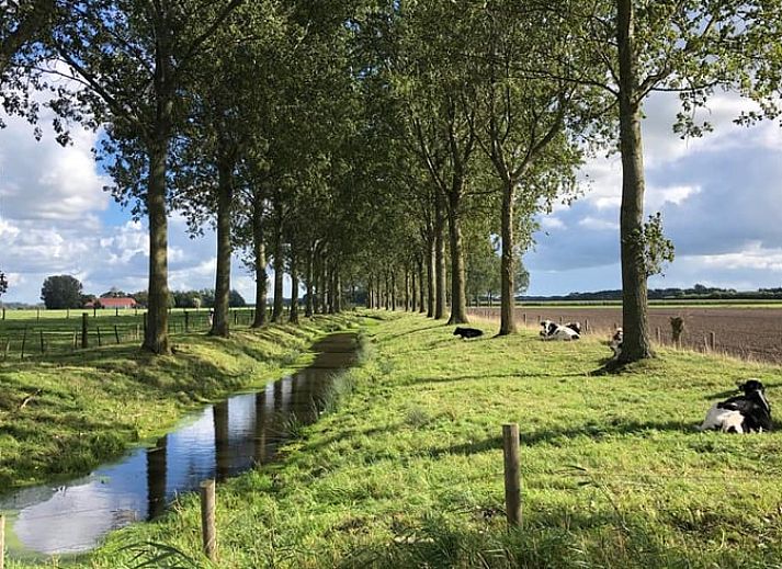 Unterkunft 631807 - Ferienhaus Zeeuws-Vlaanderen - Vakantiehuis in Eede
