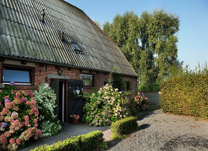 Guest house 631808 - Holiday property Zeeuws-Vlaanderen - Biezenpolder