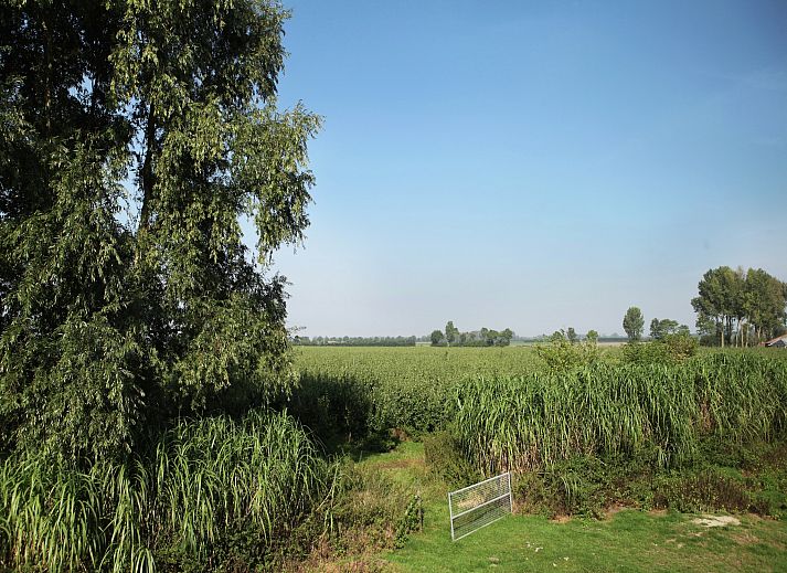 Guest house 631808 - Holiday property Zeeuws-Vlaanderen - Biezenpolder