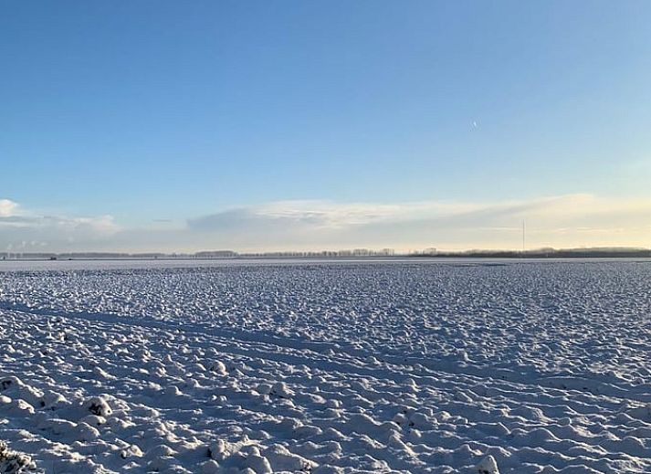 Unterkunft 631906 - Ferienhaus Zeeuws-Vlaanderen - Vakantiehuisje in Westdorpe