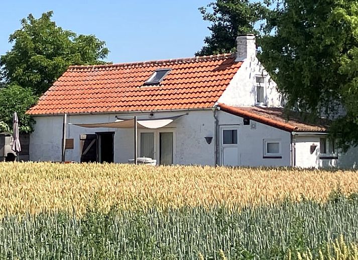 Zonnig terras bij Vakantiehuis in Walsoorden, Zeeuws-Vlaanderen, perfect voor ontspanning in Zeeland.
