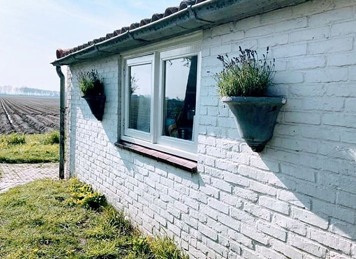 Rustiek vakantiehuis in Walsoorden, omgeven door Zeeuws-Vlaamse natuur, ideaal voor een rustige vakantie.