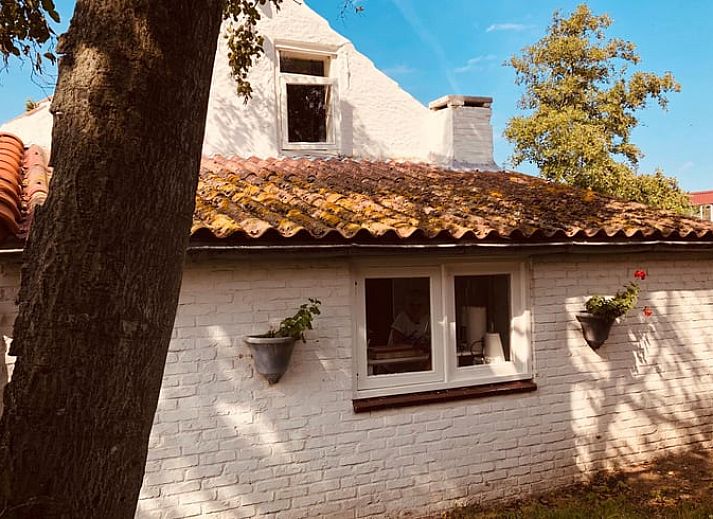 Rustiek vakantiehuis in Walsoorden, omgeven door Zeeuws-Vlaamse natuur, ideaal voor een rustige vakantie.